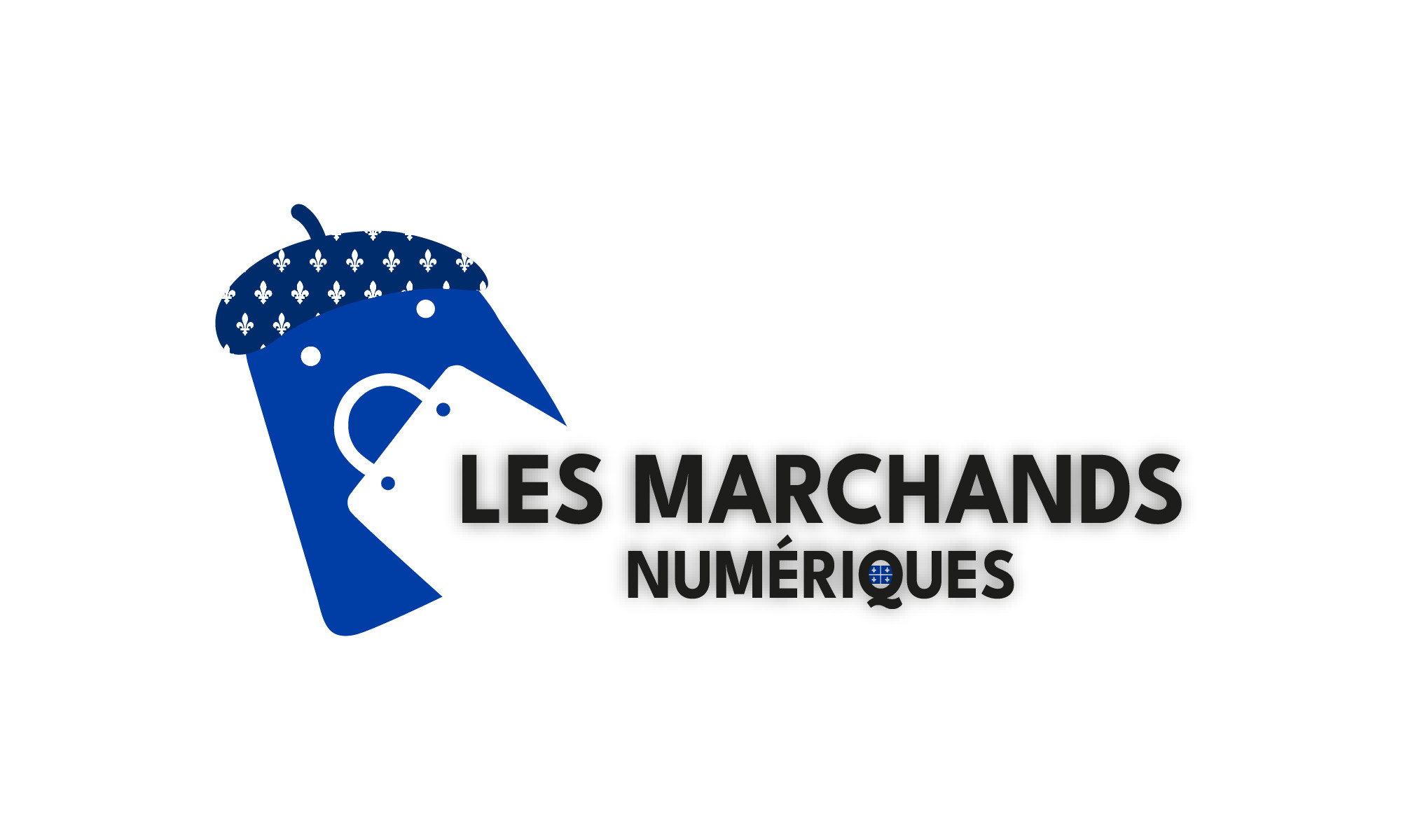 LES MARCHANDS NUMERIQUES QUEBEC